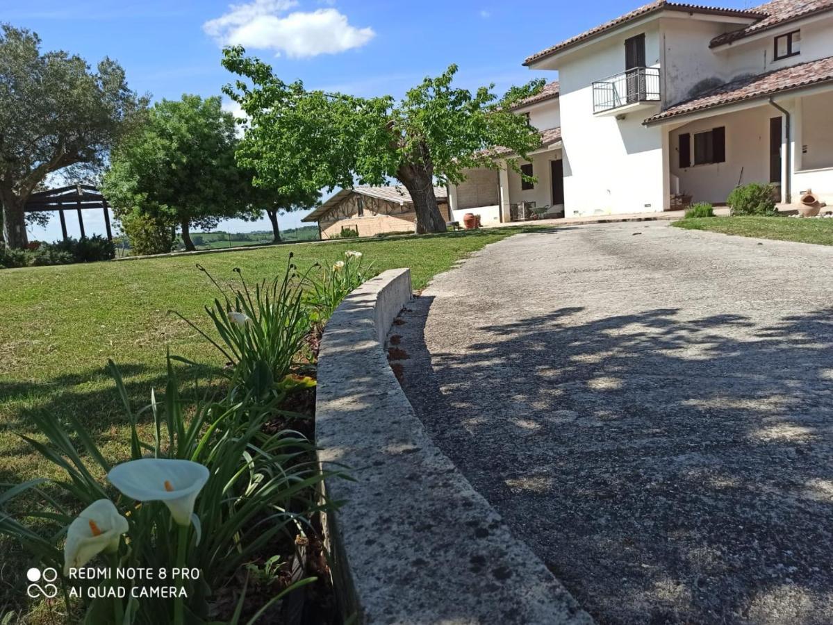 Villa La Promessa Santa Maria Nuova  Exterior foto